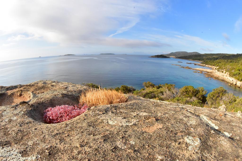 Village Naturiste La Chiappa Porto-Vecchio  Bagian luar foto